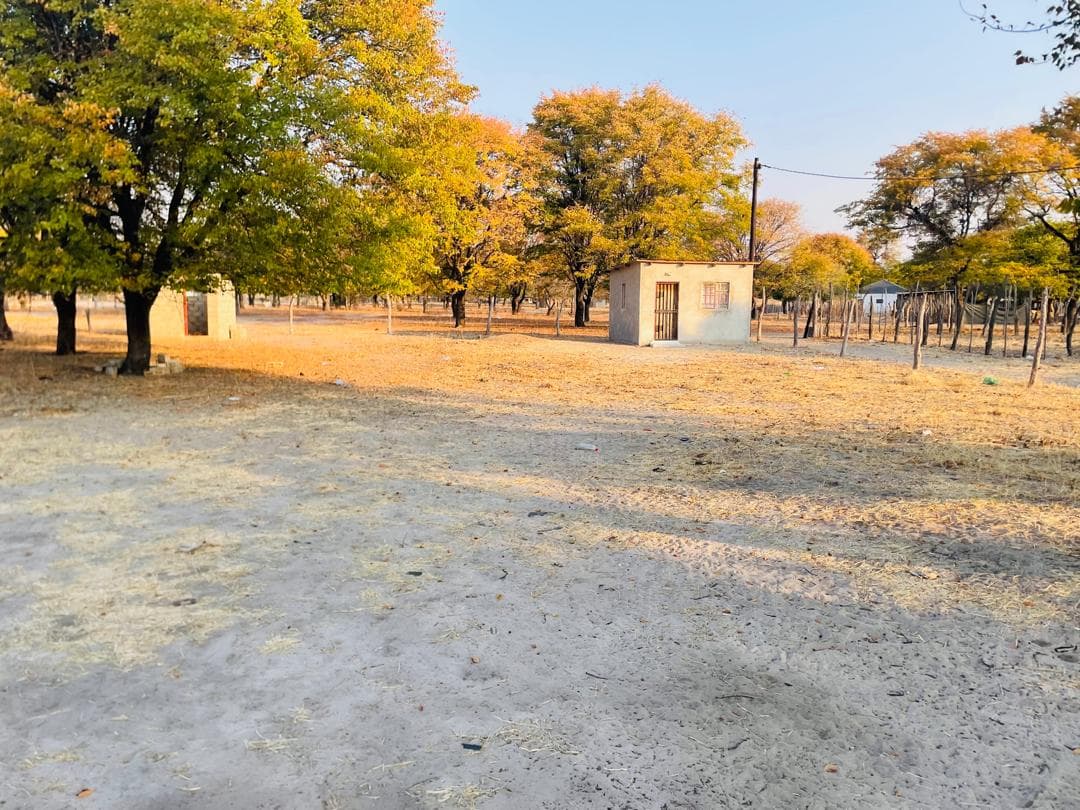 Plot for Sale in Shorobe Village
