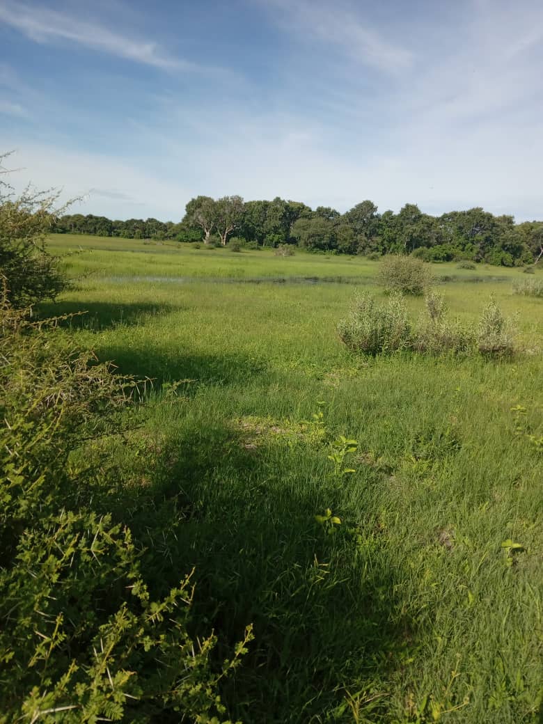 Goroku Integrated Farm