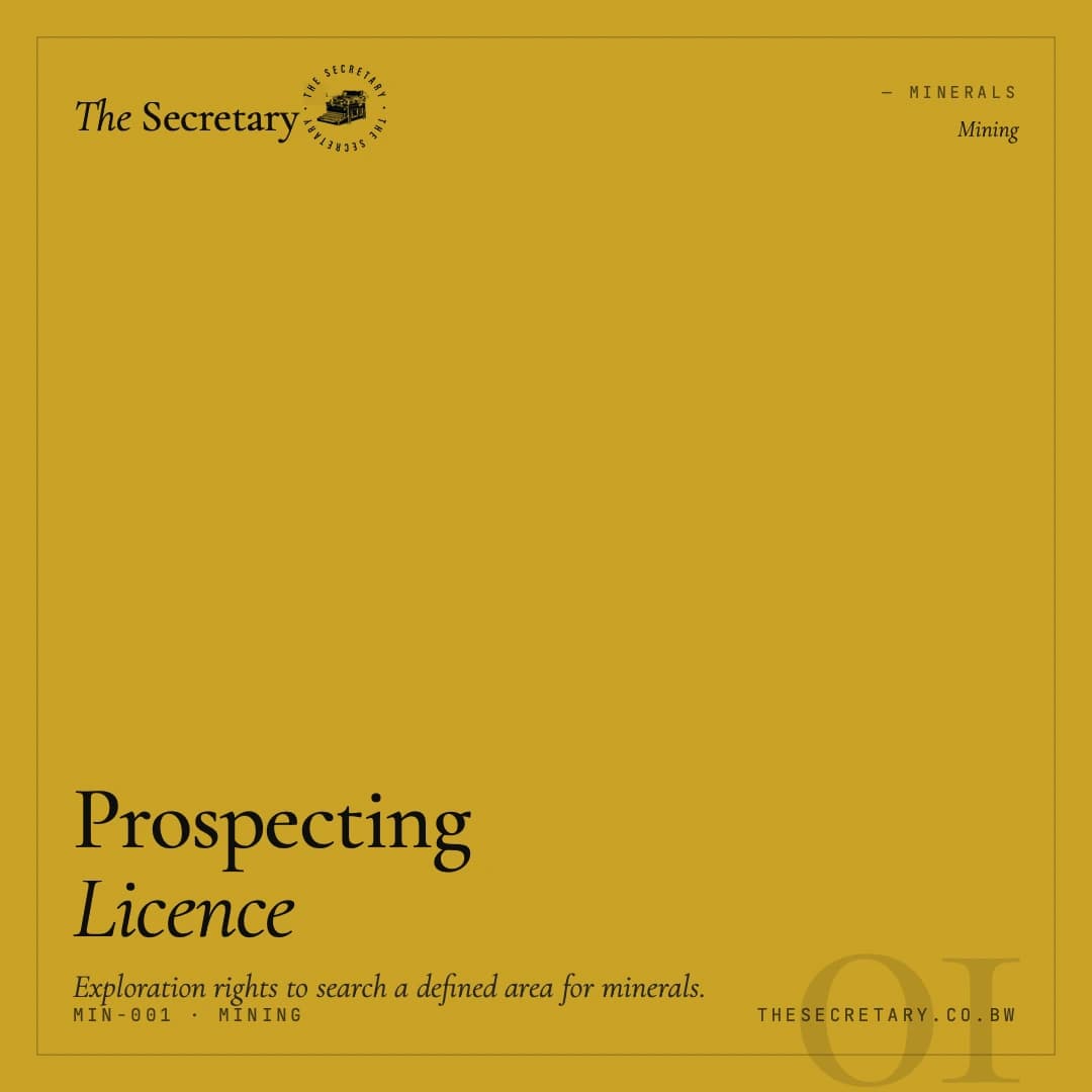 Prospecting Licence