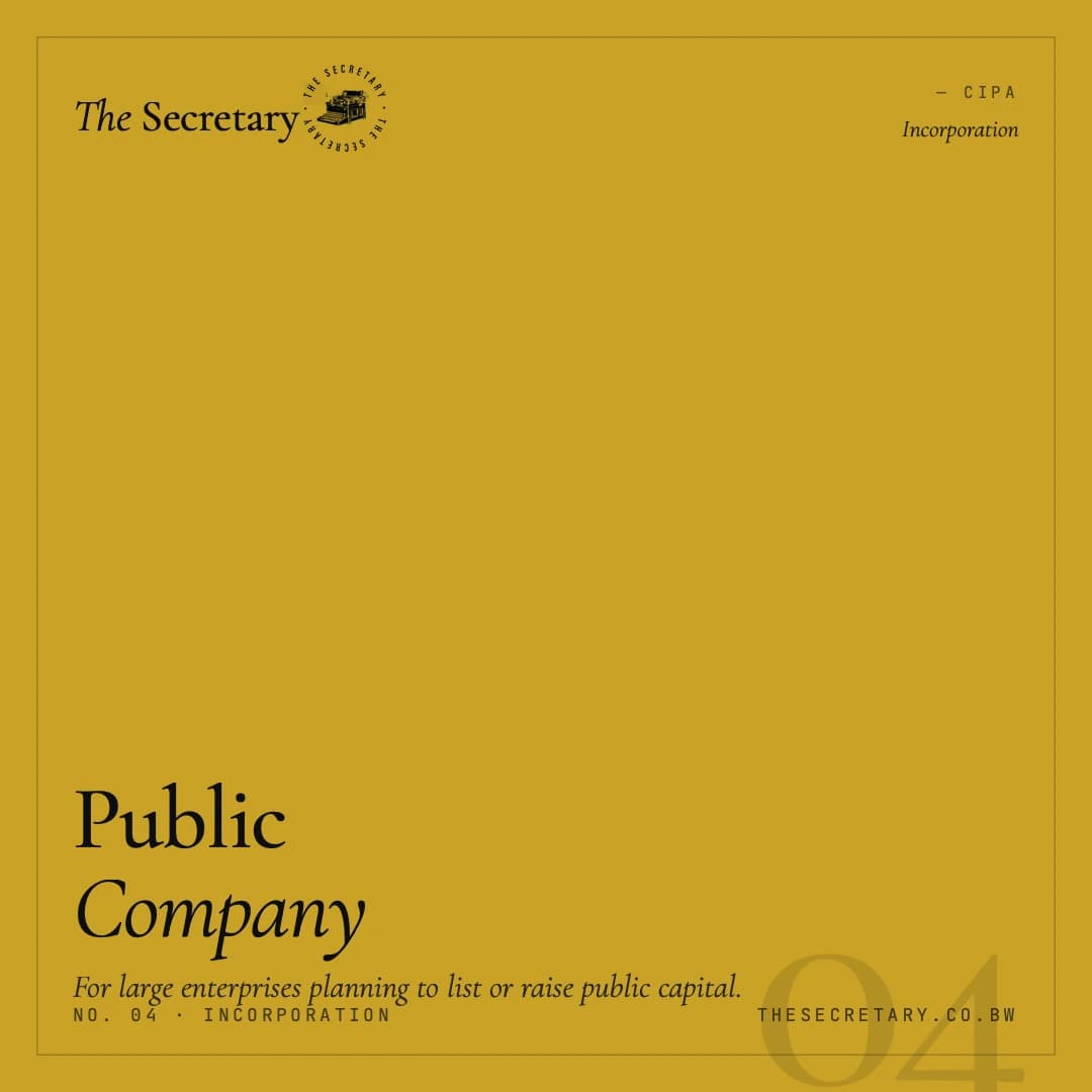 Public Company